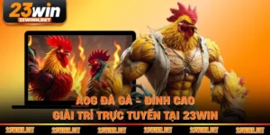 AOG Đá Gà - Đỉnh Cao Giải Trí Trực Tuyến Tại 23WIN