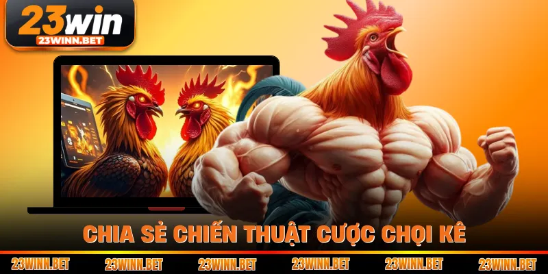 Chia sẻ chiến thuật cược chọi kê
