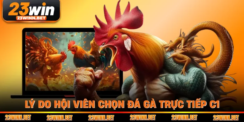 Lý do hội viên chọn đá gà trực tiếp C1