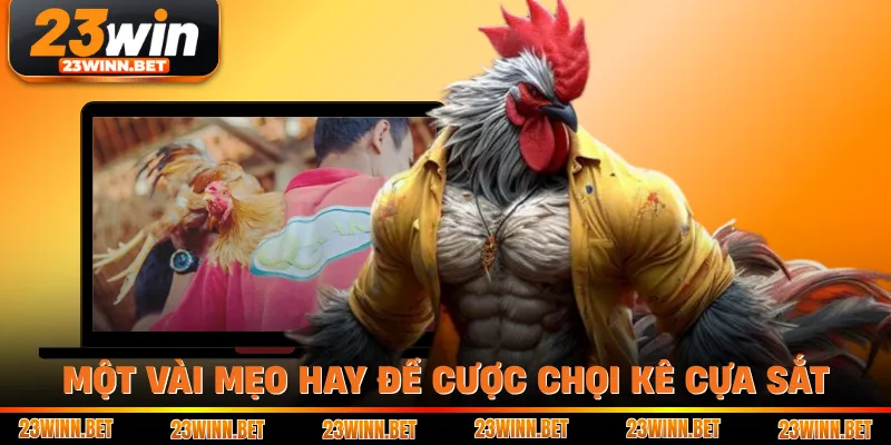Một vài mẹo hay để cược chọi kê cựa sắt